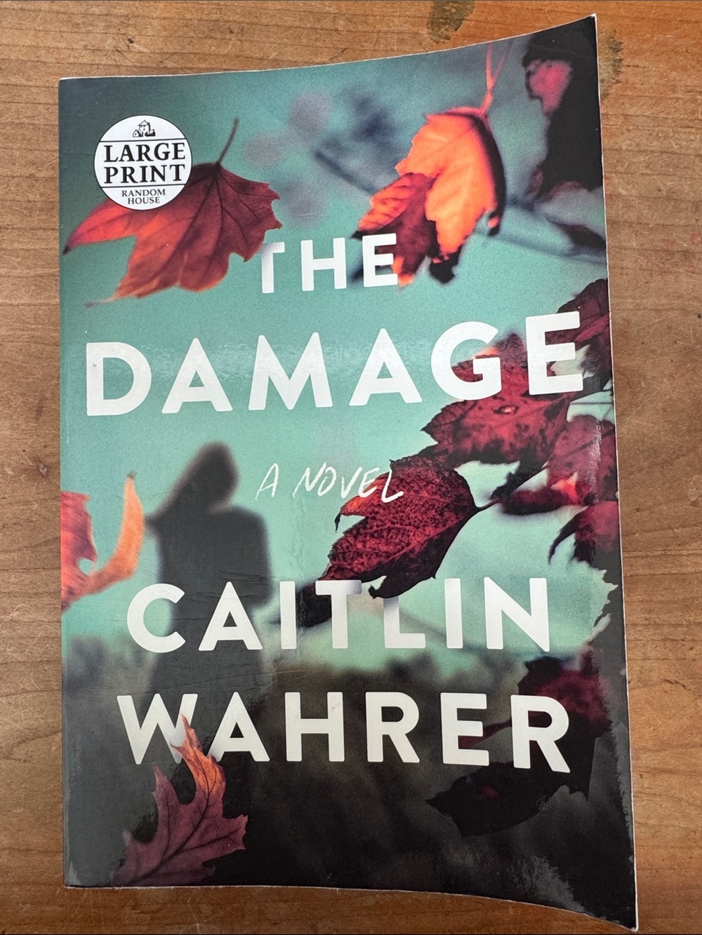 LARGE PRINT - The Damage by Caitlin Wahrer - softcover